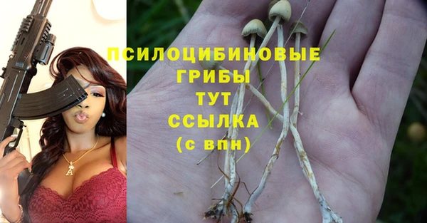 спиды Зеленокумск