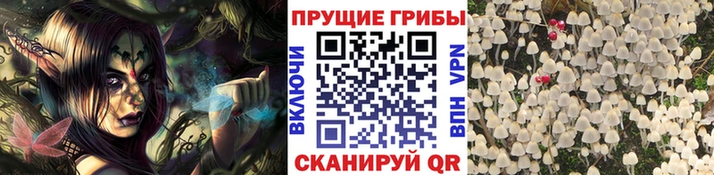 Купить где  Лысково  Галлюциногенные грибы ЛСД 
